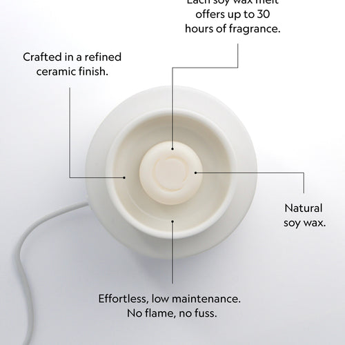 Electric Wax Melter