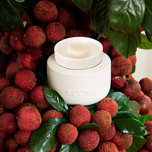 Soy Wax Melts - Guava Lychee Sorbet