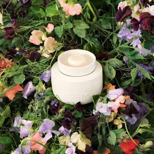 Soy Wax Melts - Sweet Pea & Jasmine
