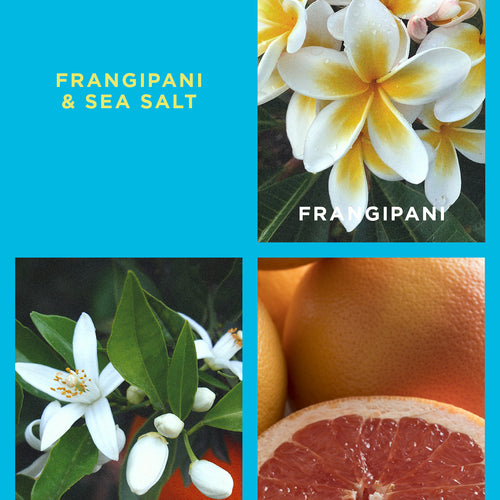 Frangipani & Sea Salt Mini Madison Candle Sensory Escapes