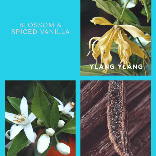 Blossom & Spiced Vanilla Mini Diffuser Holiday Collection