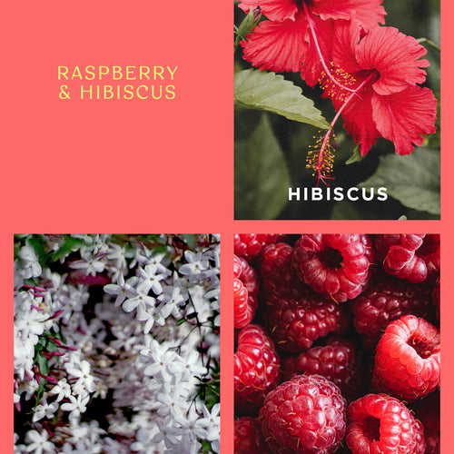 Raspberry & Hibiscus Mini Diffuser Holiday Collection