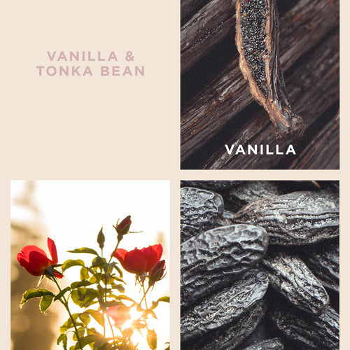 Vanilla & Tonka Bean Metro Candle