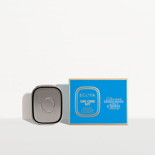 Car Care Kit Holiday Collection